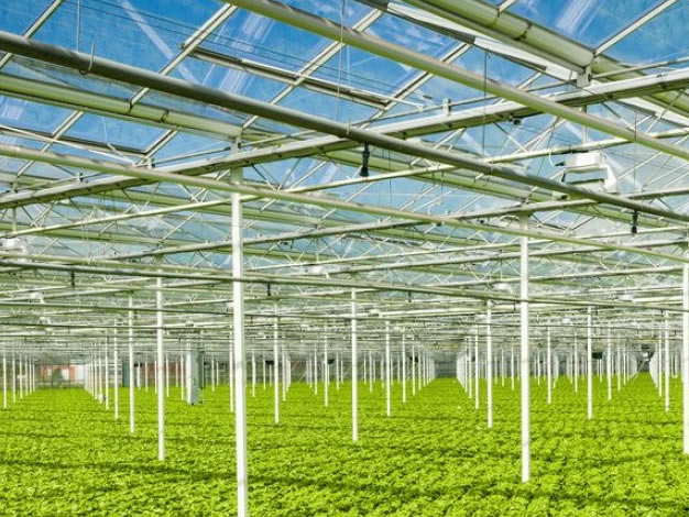 Agricultural Development