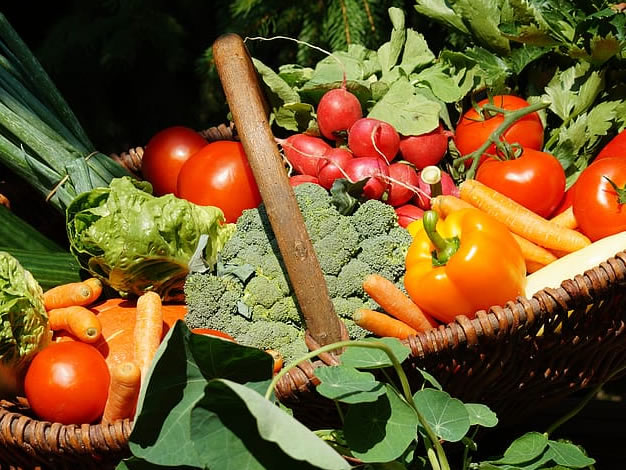 Vegetables Production